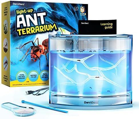 Dan&Darci Light-up Ant Farm Terrarium Kit for Kids – LED Habitat for Live Ants with Nutrient Rich Gel - Watch Them Dig Their Own Tunnels - Learning Science Toys, Experiment Gift for Boys & Girls by Dan%26Darci
