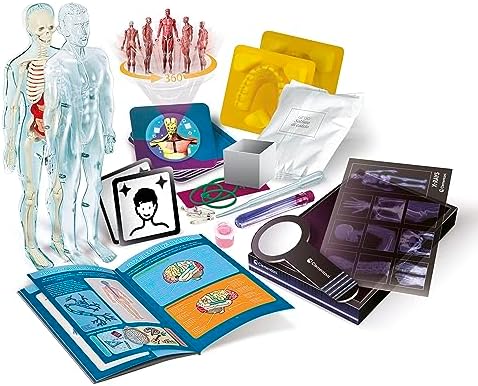 Clementoni Superanatomy - Scientific Anatomy Toy with Dedicated App and Augmented Reality, Discovering the Human Body, Ages 8+, Toy in Spanish (55509) - Image 3