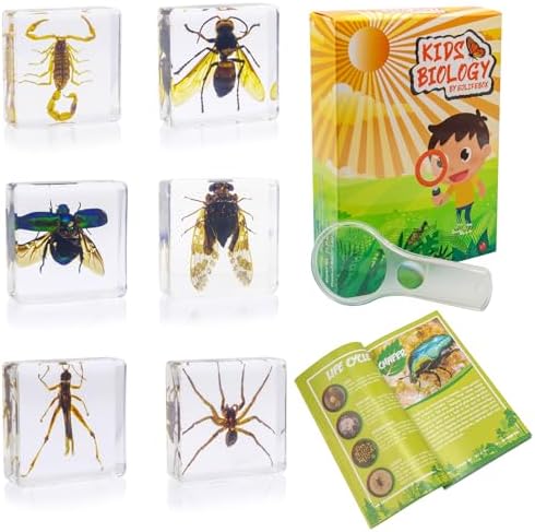 Insect Specimen Set, Bugs Collection Scientific Education Gift for Kids Aged 3-8-12 (Cicada, Wasp, Spider, Scorpion, Locust, Chafer) by EJLIFEBOX