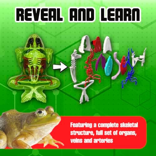 Dissect-It, Deluxe Frog Dissection Kit, STEM Toys for Kids, Ages 6+ - Image 4