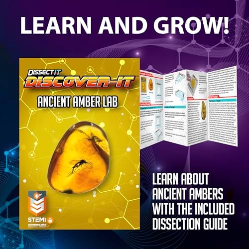 Discover-It Ancient Amber, Science Lab Kit, STEM Toys for Kids, Ages 5+ - Image 4