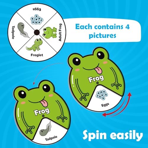Kasfalci Life Cycle Toys for Kids,Back to School Supplies,Animal Plant Insect Bug Ladybug Butterfly Tadpole to Frog Kit,Montessori Learning & Education Toys,Preschool Science Learning Activities - Image 3