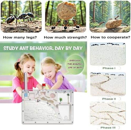 Ant Farm Castle - Large Viewing Area - Care for Live Ants - Ant Colony Observation Kits with Sand Habitat - Educational Science Gifts for Boys, Girls - Ant Farms for Kids, Adults - Image 2