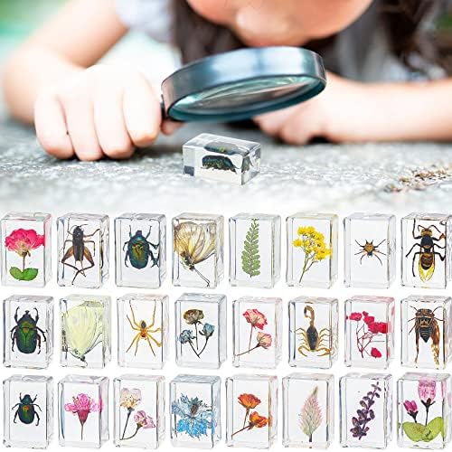 Geelin 24 Pcs Insect in Resin Specimen Set Specimen Bugs Plant Flower Paperweight Butterfly Science Mini Animals Figures for Biology Science Teacher Education Collection by Geelin