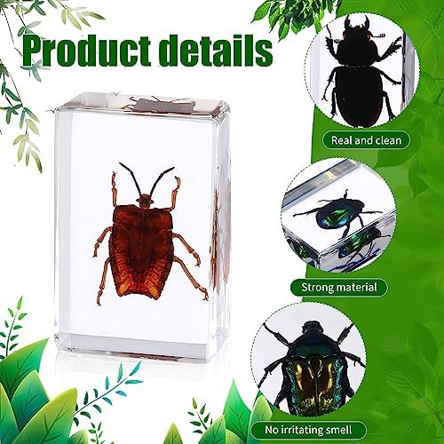 12 Pcs Insect in Resin Specimen Butterfly Bugs Collection Paperweights，12 Styles Real Bug Specimen Bug Kit Preserved in Resin for Scientific Educational Display Supplies (Insect) - Image 3