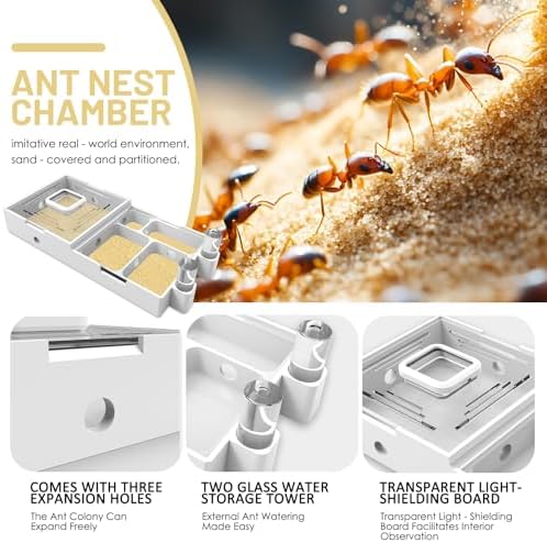 Nest Farm for Live Ants and Queen - Ant Farms with Yellow Sand Observation Transparent Ant Farm for Adults 3D Printed Nest Ant Workshop Castle Ant Garden Queen (Kit-B) - Image 4