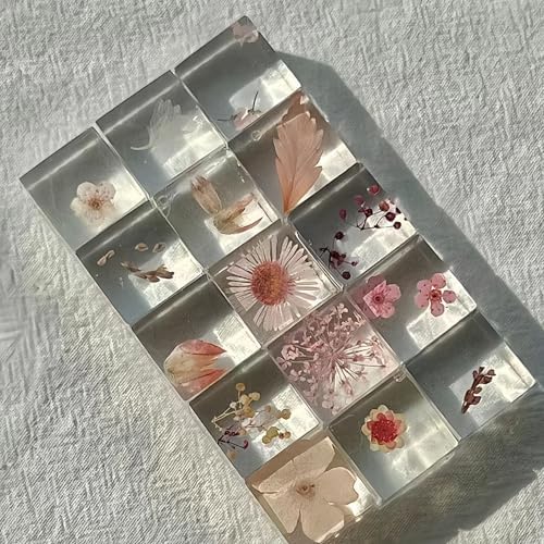 12pcs Plant Specimens,Resin Squares, Decorations,Children's Science Education Supplies,Drip-Dried Resin Flower Specimens,Real Flower Specimens for Microscope (Colorful) - Image 6