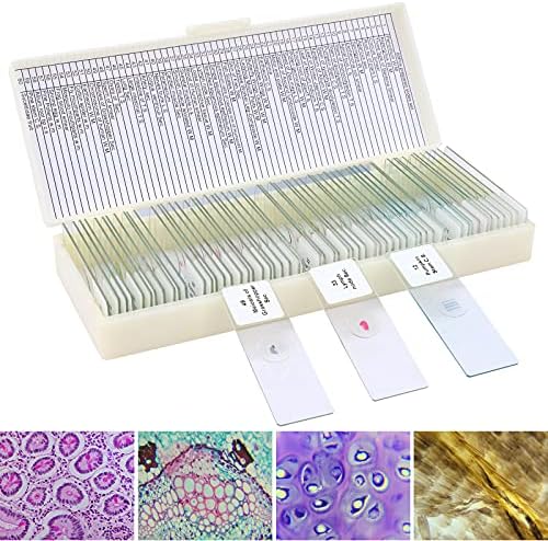 60 Microscope Slides with Specimens for Kids, Prepared Microscope Slides for Kids Microbiology, Prepared Microscope Slides for Adults by LAKWAR
