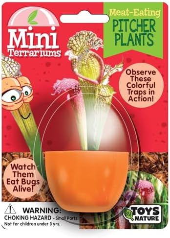 Toys By Nature Mini Terrarium Carnivorous Plant Bundle, 100% USA Made Complete Starter Kit Includes 2 Each of Flytraps, Pitcher Plants, Sundews, Easy to Grow Planting Seeds Just Add Water - Image 3