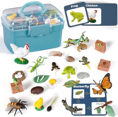 Life Cycle Learning Toys for Kids: Life Science Education Kits with Butterfly, Frog, Chicken, Mantis, Bee, Plants - 25 Pieces Animal Figurines Montessori Toys for Children Age 3 4 5 6 7 8+ by Bambilo