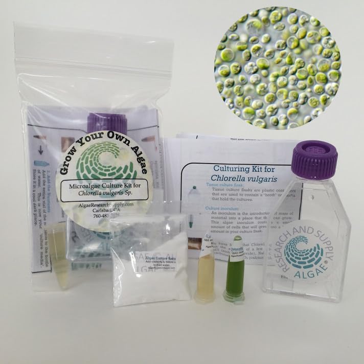 Algae Research Supply Algae Culture Kit Chlorella Vulgaris, Perfect for School Science Fairs/Projects, Experiments & Classrooms by Algae+Research+and+Supply
