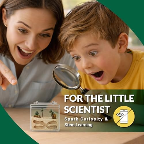 Ant Farm Starter Kit for Beginners & Hobbyist Formicarium Ants NOT Included - Image 2