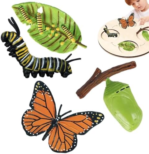 Life Cycleinsects Toys - 6Pcs Educational Figurine Set Ladyybuges by Unknown