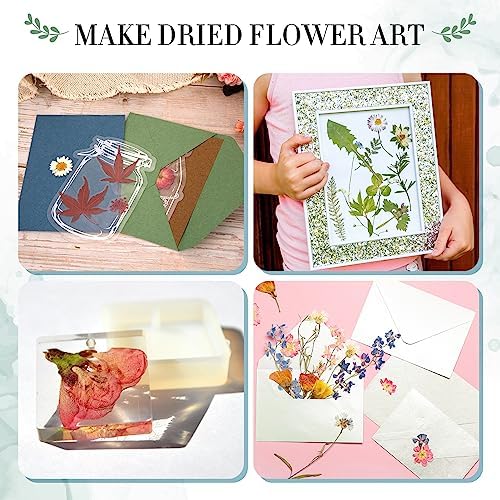 Aboofx Large Wooden Flower Pressing Kit, 10.8"x6.9" 6 Layers - Image 6