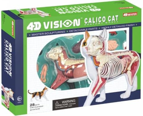 4D Vision Calico Cat Anatomy Model - Medical Quality Collectible with Fully Detachable Organs and Body Parts - Image 3