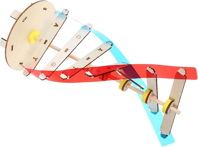DIY Wooden DNA Double Helix Model Kit Self-Assembling Biology Science Teaching Instrument for Stem Education and Classroom Learning Tool