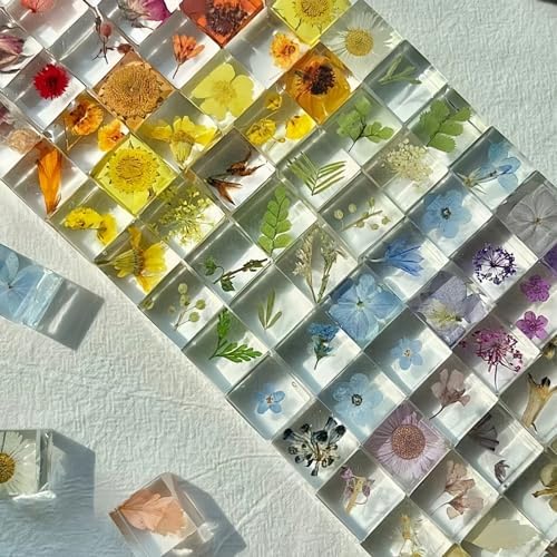 12pcs Plant Specimens,Resin Squares, Decorations,Children's Science Education Supplies,Drip-Dried Resin Flower Specimens,Real Flower Specimens for Microscope (Colorful) by Unknown