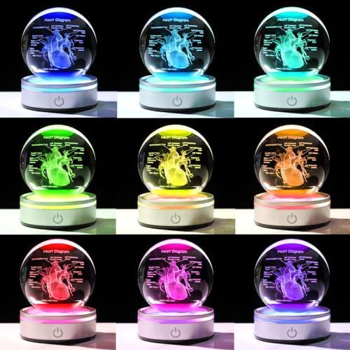 3D Heart Model Crystal Ball Doctors Gift, Cardiologist Gift for Men and Women with Colorful LED Base, Medical Statue for Psychology Graduation, Christmas Heart Anatomy Art Decor - Image 5