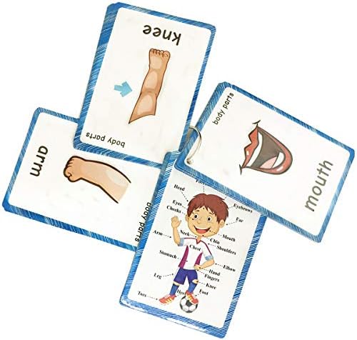 SANTSUN Body Parts Flashcards - Educational Learning Word Card for Class - Image 3