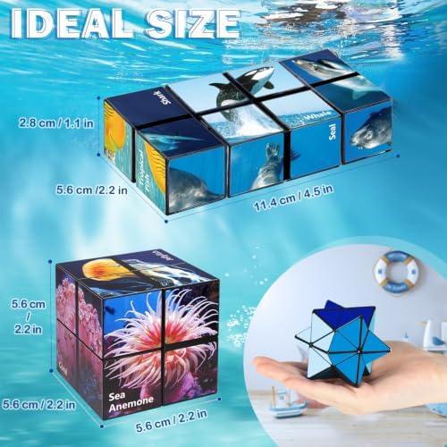 Euclidean Cube Fidget Toys for Kids 2 in 1 Star Cube Magic Cube Puzzle Toys - Image 5