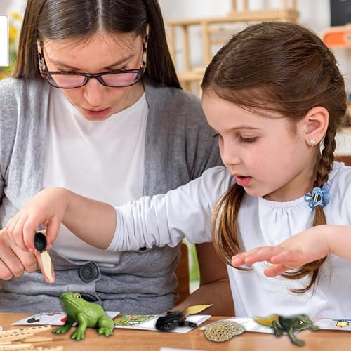 Life Cycleinsects Toys - 6Pcs Educational Figurine Set Ladyybuges - Image 3