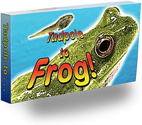 Tadpole to Frog Flipbook for Kids 6-12, Animation Flip Book for Children by Fliptomania