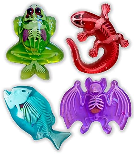 Dissect-It, Variety Animal Dissection Kit, STEM Toys for Kids, Ages 6+ - Image 5