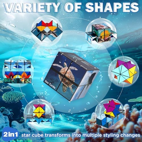 Euclidean Cube Fidget Toys for Kids 2 in 1 Star Cube Magic Cube Puzzle Toys - Image 2