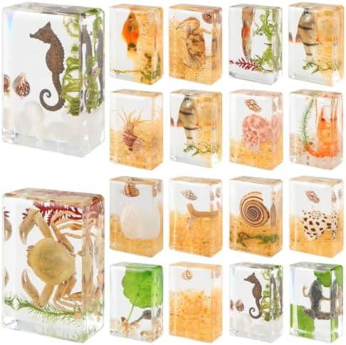 16 Pcs Ocean Animal Scenery Insect in Resin Specimen Bugs Collection Paperweights，16 Styles Scenery Real Bug Specimen Bug Kit Preserved in Resin for Scientific Display Supplies by ABURRORI
