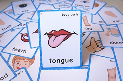 SANTSUN Body Parts Flashcards - Educational Learning Word Card for Class - Image 6