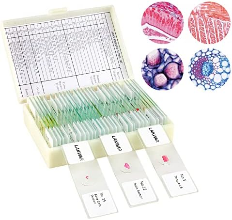 30 Microscope Slides with Specimens for Kids, Prepared Microscope Slides for Kids Microbiology, Glass Slides for Microscope, Biology Gifts for Adults Kids by LAKWAR