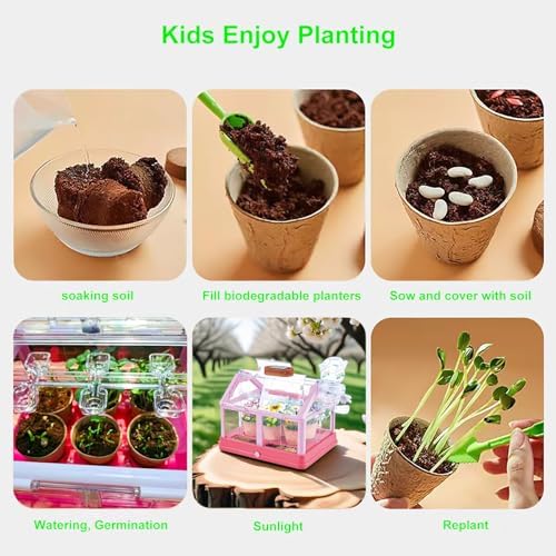 EXBEPE Kids Plant Growing Kit Greenhouse Growing Set Terrarium Kit Kids Science Educational DIY Plant Gardening Toy, Living Greenhouse with Solar Panel, Indoor Gardening Kit - Image 6