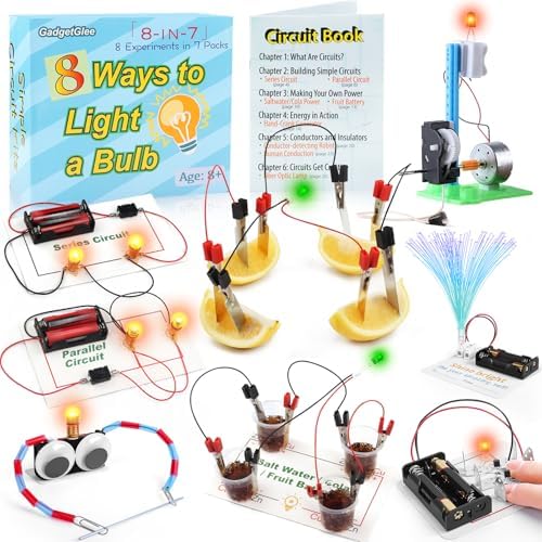 STEM Electric Circuit Kit, Electricity Science Project Light Bulb Experiments for Kids Teens, Electrical Engineering Kits Age 8-12 12-14, Fruit Energy Projects Circuits Experiment by Unknown