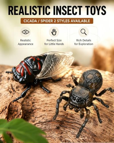 2-Pack Wind-Up Beetle Toy, Movable Head & Tail Bug(Summer Cicada+Spider) - Image 6