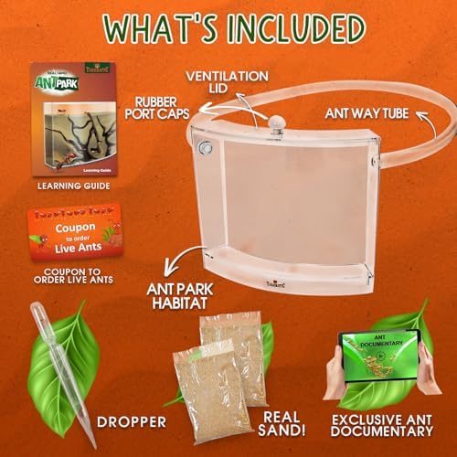 Ant Farm for Live Ants - Real Sand Ant Colony Kit for Kids -Fun Science Habitat Set for Children, Watch Ants Dig Tunnels, Carry Sand, Hide and Drag Their Food - Image 6