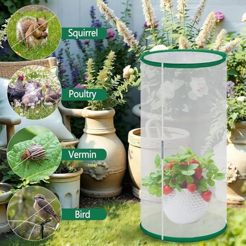 Butterfly Net Cage 11.8 x 15.7 Inch Caterpillar Enclosure with Zipper - Image 2