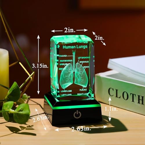 Movdyka 3D Human Lung Anatomy Model Biology Doctor Gifts for Men - Image 6