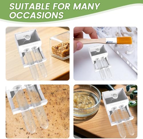 Transparent Mini Ant Farm with Dual Test Tubes for Thriving Ant Colony Observation - Image 5
