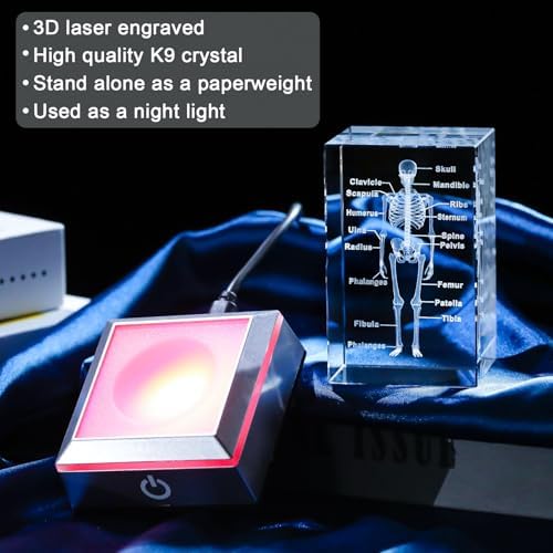 3D Crystal Human Skeleton Anatomy Model Medical Decor Gifts for Doctor, Laser Etched Science Biology Figurine Paperweight Psychology Graduation Gifts for Medical Students with LED Base - Image 4