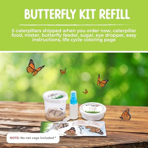 5 Live Caterpillars for Butterfly Kits, Refill with Food, Rearing Supplies - Image 3