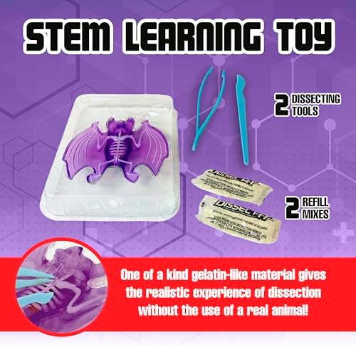 Dissect-It, Bat Dissection Kit, STEM Toys for Kids, Ages 6+ - Image 4