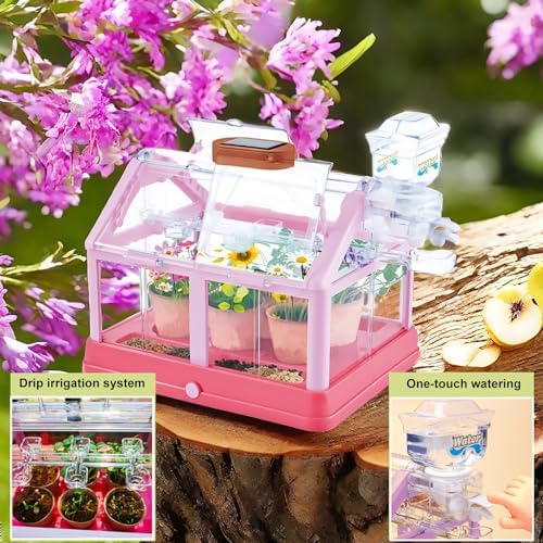 EXBEPE Kids Plant Growing Kit Greenhouse Growing Set Terrarium Kit Kids Science Educational DIY Plant Gardening Toy, Living Greenhouse with Solar Panel, Indoor Gardening Kit - Image 2