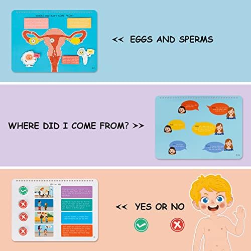 Freebear Montessori Busy Book for Kids, Human Body Anatomy Book for Toddlers, Preshool Kindergarten Learning Activities, Autism Sensory Toys, Gifts for Girls and Boys 4-7 Years- Human Body Procreation - Image 5