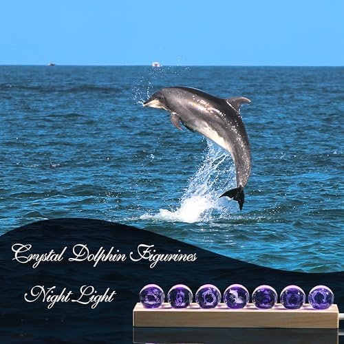 Qianwei 3D Crystal Ball Dolphin Gifts for Women Men - 7pcs Dolphins Decor Glass Figurines Statue Stuff for Room Decorations Birthday for Lovers Keepsake Paperweight - Image 3