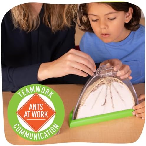 Insect Lore Ant Hill Kit with Prepaid Voucher - Science Kit for Kits - Redeem Voucher for Live Harvester Ants - Watch Native Ants Tunnel and Explore - Image 2