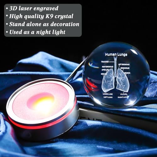 3D Human Lung Model Crystal Ball Doctor Gifts for Women Men, Laser Etched Glass Anatomical Lung Figurine Science Biology Surgeon Decor Graduation Gifts for Medical Student with LED Base - Image 5