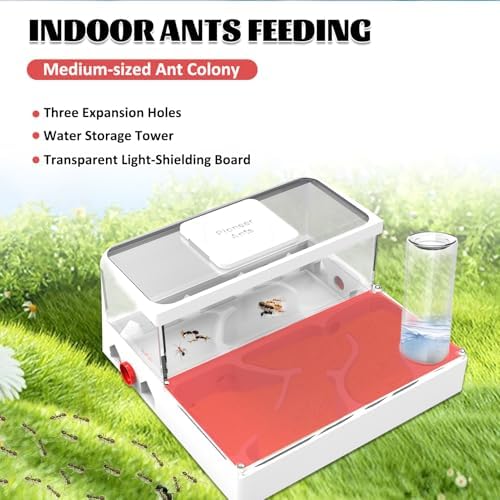 Ant Farms with Yellow Sand and Tool Kit-Transparent Ant Farm for Adults 3D Printed Ant Nest Workshop Castle Ant Garden for Live Ants and Queen (Model-B) - Image 3