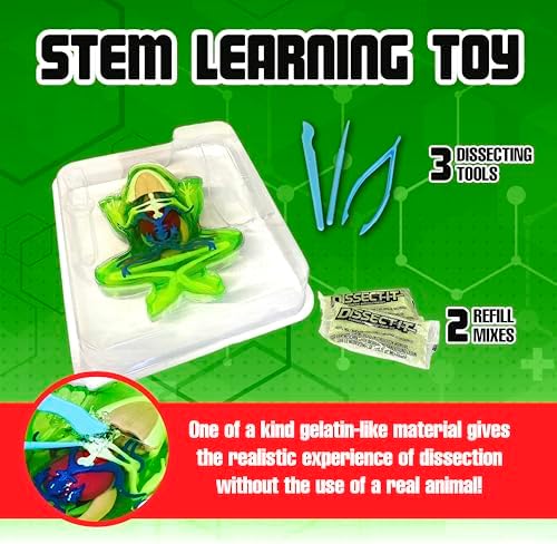 Dissect-It, Deluxe Frog Dissection Kit, STEM Toys for Kids, Ages 6+ - Image 3