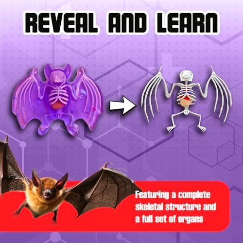 Dissect-It, Bat Dissection Kit, STEM Toys for Kids, Ages 6+ - Image 5