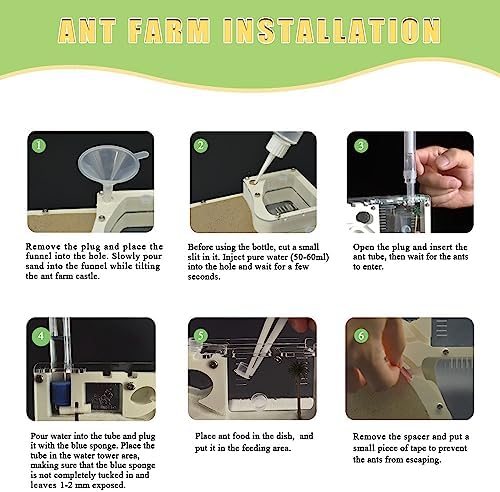 ELNMLHT Ant Farm Castle, Ant Farms with Yellow Sand and Tool Kit, Ant Colony Observation Kit, Ant Viewing Habitat Science Kit, Educational & Learning Science Kit for Kids, Adults, Student - Image 5